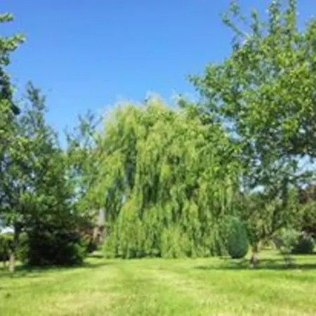 Privat bolig Un Petit Coin De Paradis Clairfontaine